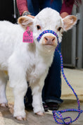 Load image into Gallery viewer, Barbie – Micro/Mini High-Park Heifer