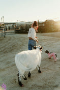 Load image into Gallery viewer, Jellybean- WEANED Polled Mini/Mid Size Heifer $15,000.00