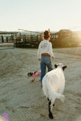 Load image into Gallery viewer, Jellybean- WEANED Polled Mini/Mid Size Heifer $15,000.00