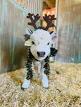Load image into Gallery viewer, Animal Event Rental