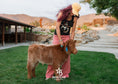 Load image into Gallery viewer, Rocky - Mid-Size Roan Bull/Steer