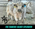 Load image into Gallery viewer, Mushroom – Micro/Mini High-Park Heifer