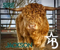 Load image into Gallery viewer, Austin Email Test