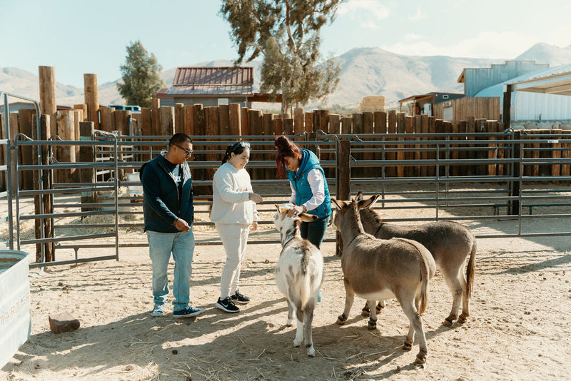 Ranch Tours & Bottle-Feeding Experiences: What to Expect