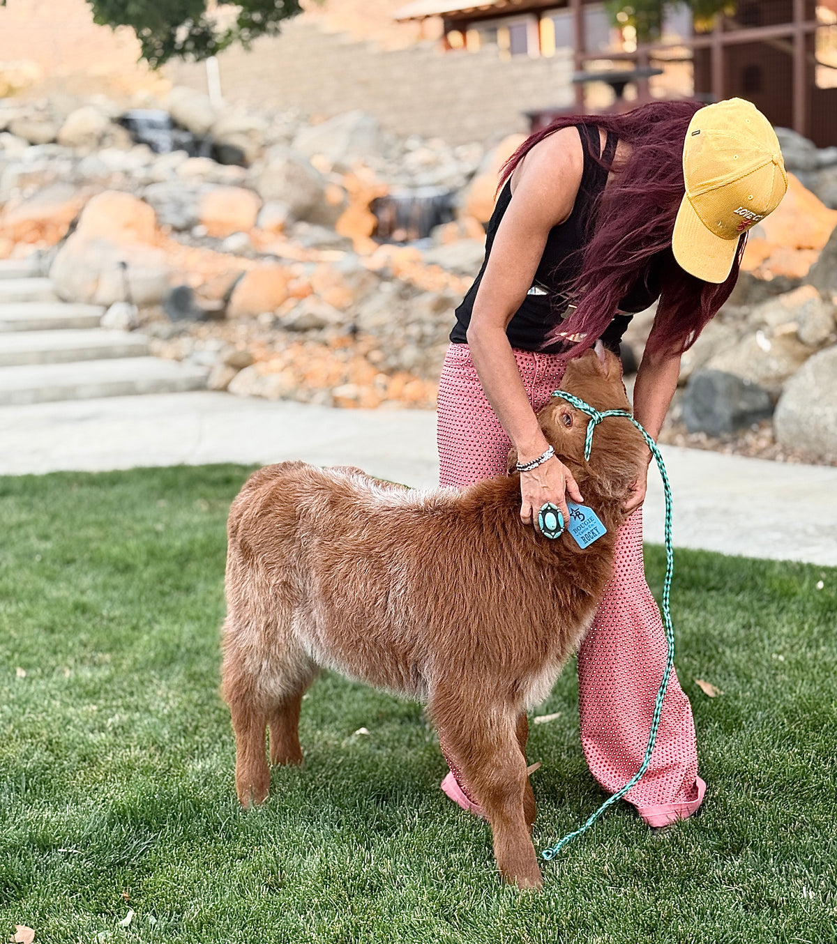 Rocky - Mid-Size Roan Bull/Steer