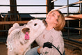 Load image into Gallery viewer, Calf Cuddling
