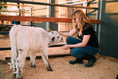 Load image into Gallery viewer, Calf Cuddling
