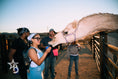Load image into Gallery viewer, Sunset at the Ranch
