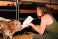 Load image into Gallery viewer, Sunset at the Ranch
