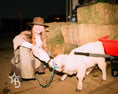 Load image into Gallery viewer, Bottle Feed the Bougie Babies
