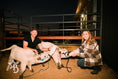 Load image into Gallery viewer, Sunset at the Ranch

