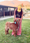 Load image into Gallery viewer, Rocky - Mid-Size Roan Bull/Steer
