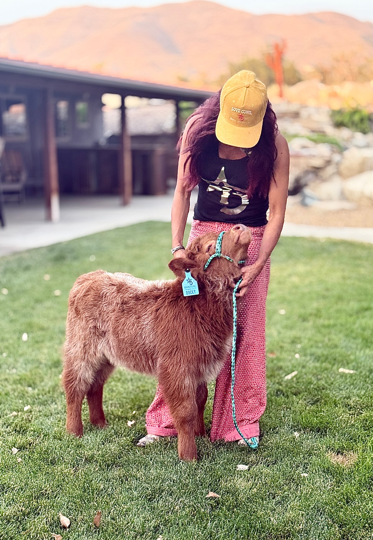 Rocky - Mid-Size Roan Bull/Steer