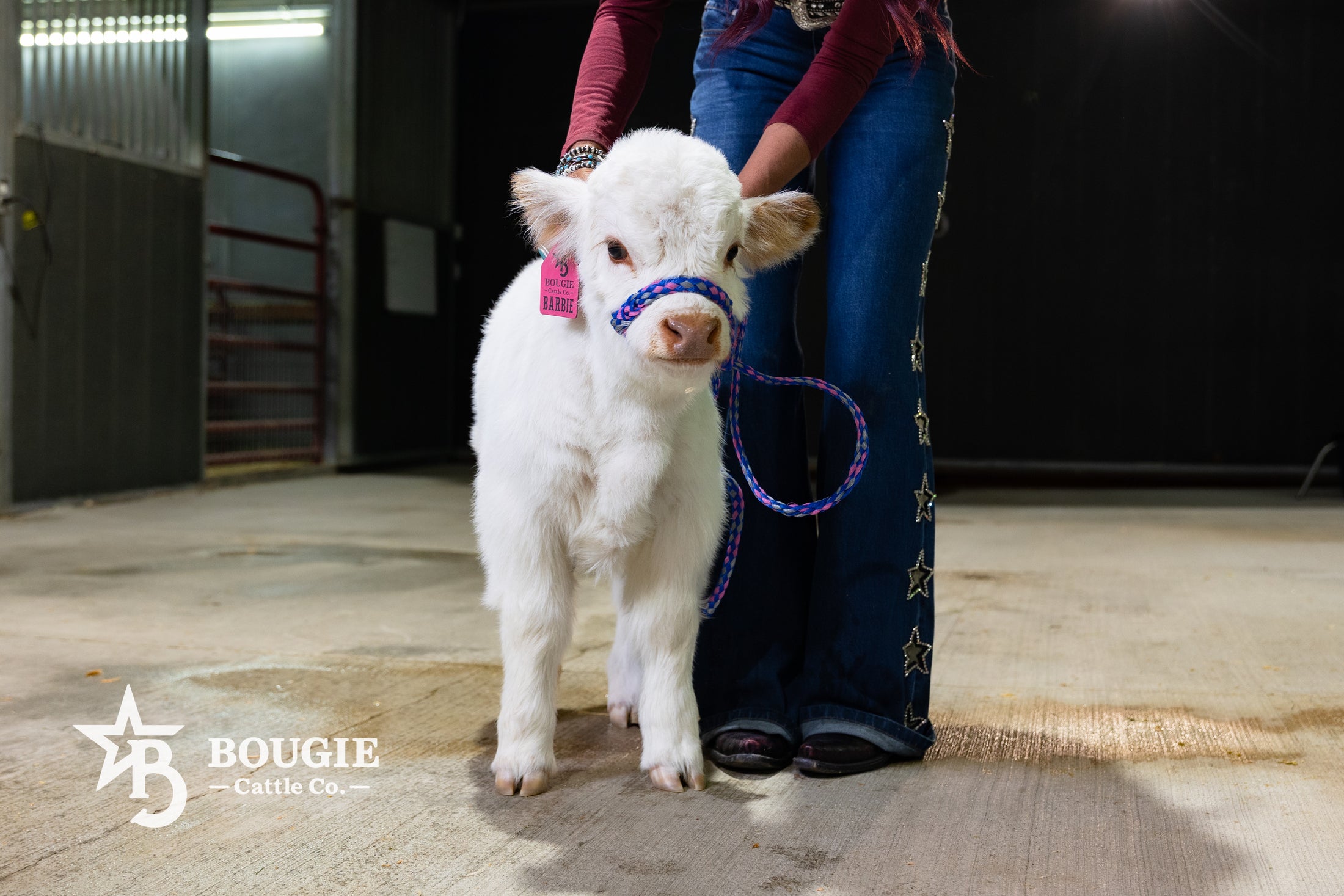Barbie – Micro/Mini High-Park Heifer