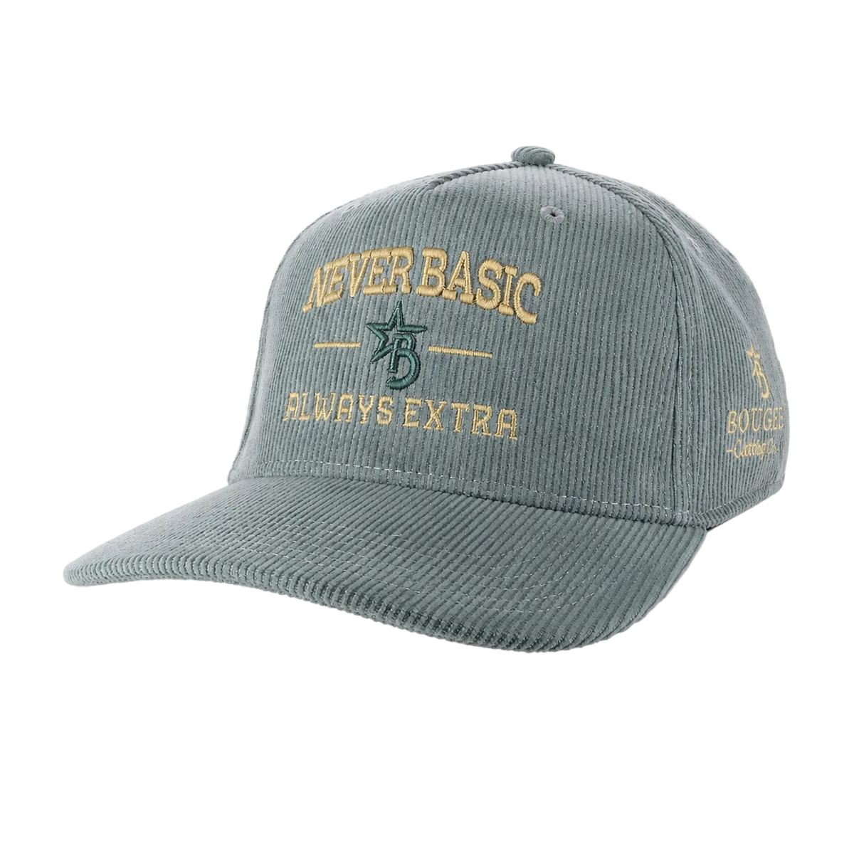 Gray cap with gold text and logo on a white background