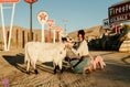 Load image into Gallery viewer, Jellybean- WEANED Polled Mini/Mid Size Heifer $15,000.00
