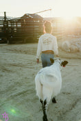 Load image into Gallery viewer, Jellybean- WEANED Polled Mini/Mid Size Heifer $15,000.00
