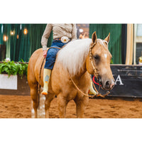 Desert Spirit Cowgirl Performance Boot Socks