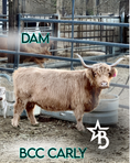 Load image into Gallery viewer, Luxe - Micro/Mini Silver Dun Heifer

