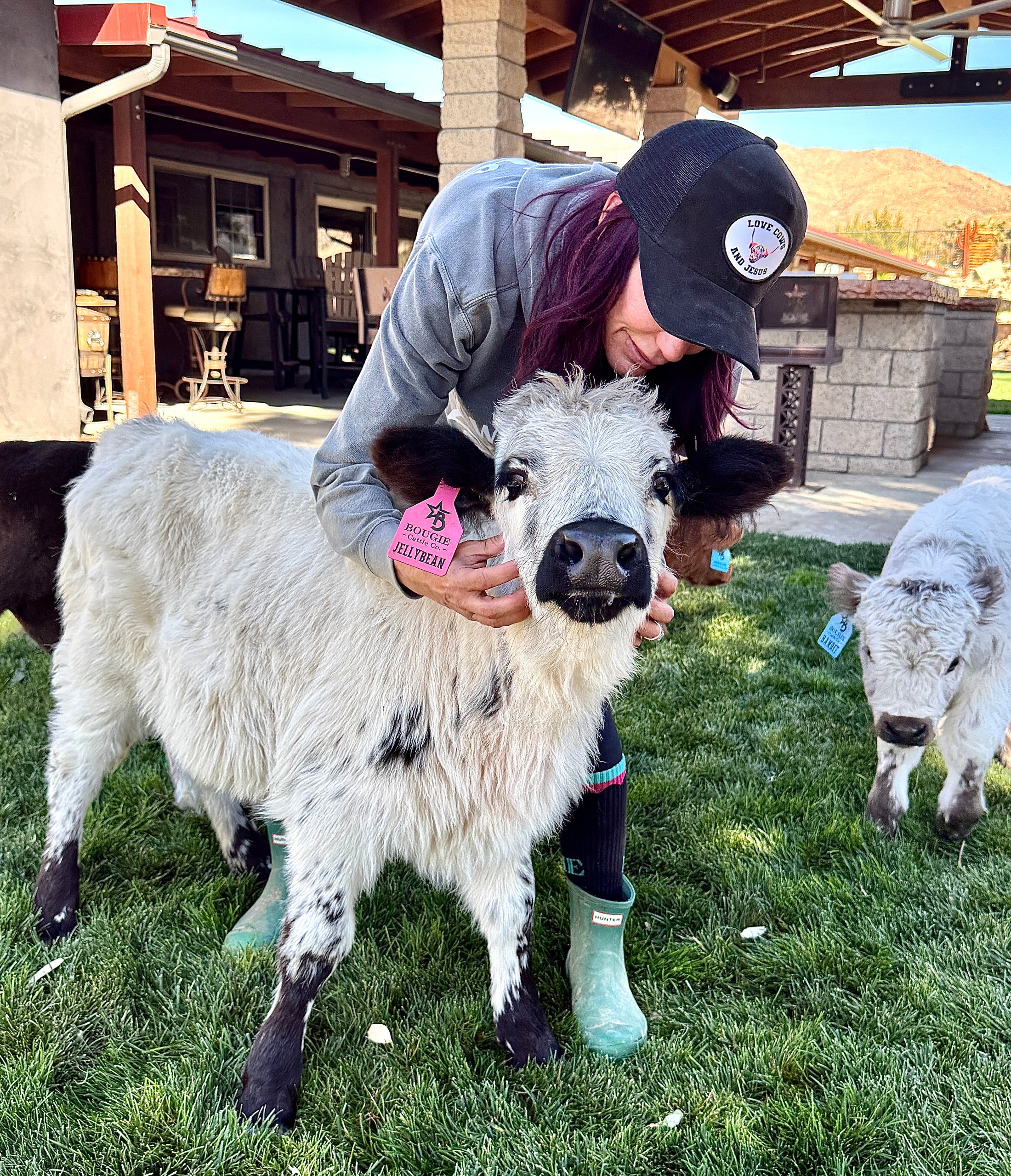 Calf Cuddling