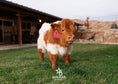 Load image into Gallery viewer, Iconic Ivy - Micro/Mini Heifer
