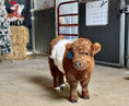 Load image into Gallery viewer, One Hour Ranch Tour
