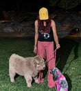 Load image into Gallery viewer, Luxe - Micro/Mini Silver Dun Heifer
