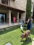 Load image into Gallery viewer, Invite Bougie to Your Next Event
