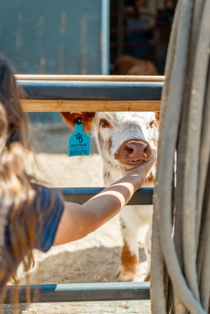 Two Hour Ranch Tour - Including Lunch