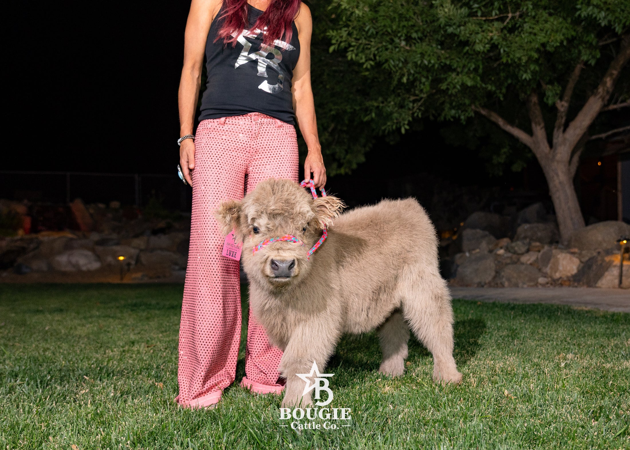 Luxe - Micro/Mini Silver Dun Heifer