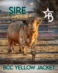 Load image into Gallery viewer, Iconic Ivy - Micro/Mini Heifer
