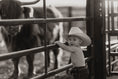Load image into Gallery viewer, Photoshoot
