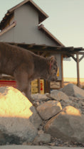 Load and play video in Gallery viewer, Two Hour Ranch Tour - Including Lunch
