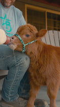 Load and play video in Gallery viewer, Bottle Feed the Bougie Babies

