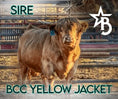 Load image into Gallery viewer, Dixie Dunn – Mid Size Heifer
